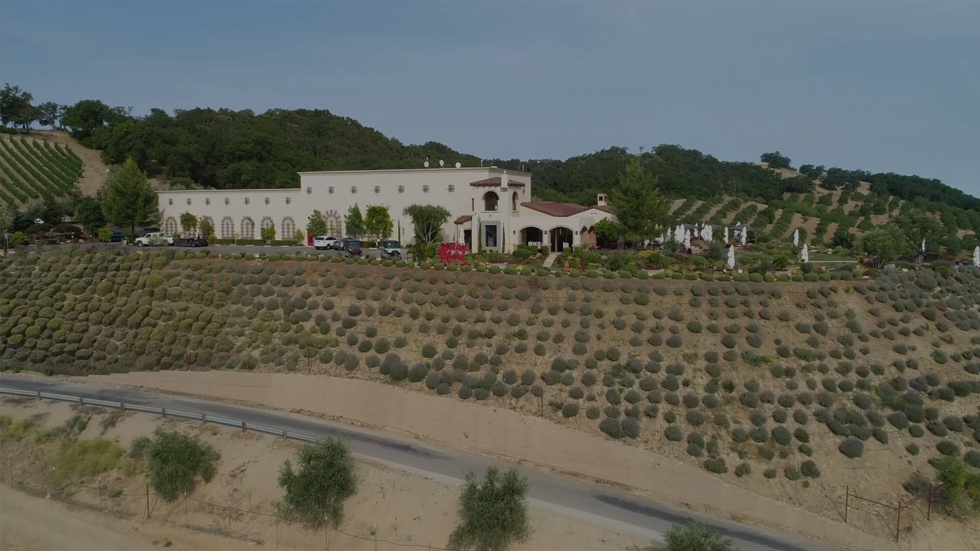 DAOU Family Estate Winery